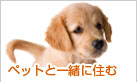 ペットと一緒に住む